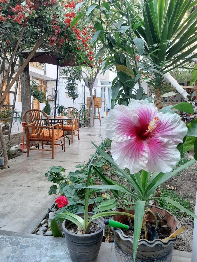 El Huerto Hostel Ика Экстерьер фото
