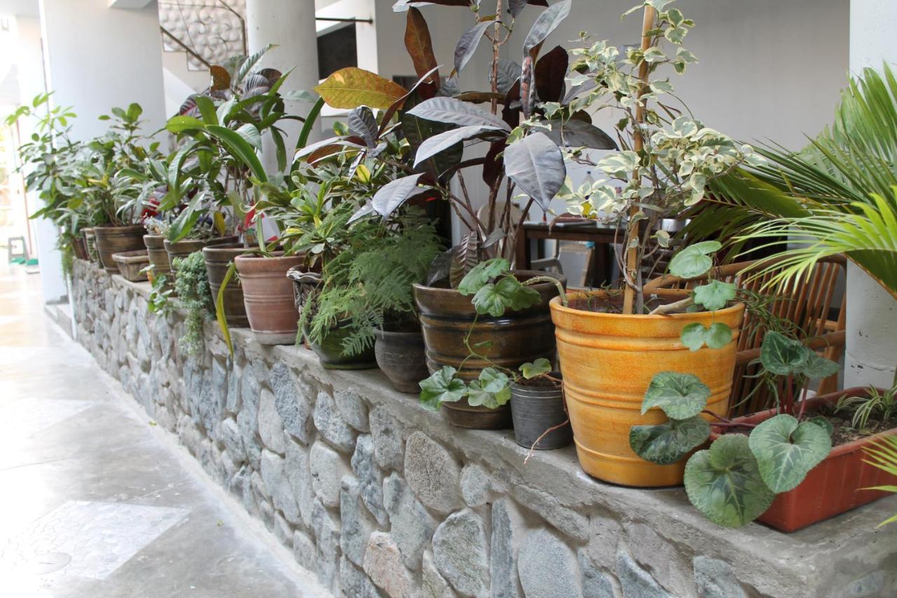 El Huerto Hostel Ика Экстерьер фото