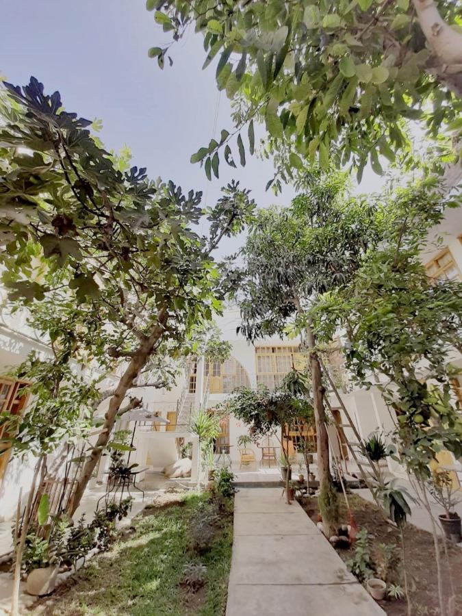 El Huerto Hostel Ика Экстерьер фото